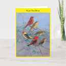 Search for tanager cards Western