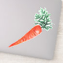 Search for cute carrot stickers Vegetarian