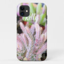 Search for crassula Cactus
