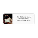 Search for siamese cat return address labels Kitty
