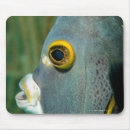 Search for the wild side electronics Underwater