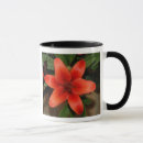 Search for orange lily mugs Floral