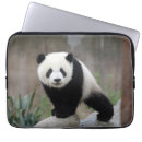 Search for panda baby electronics China