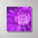 Search for chrysanthemum art Mums