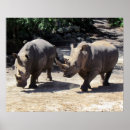 Search for rhino poster posters Wild