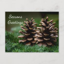 Search for cone postcards Seasons greetings