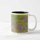 Search for blue bonnet mugs Wildflower