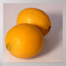 Search for lemony posters Citrus