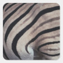 Search for zebra skin stickers Nature