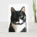 Search for staring cards Humour