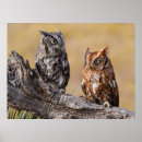 Search for larry ditto posters Superstock