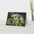 Search for pear tree cards White