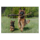 Search for dog cookware Animal