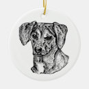 Search for mongrels Mutt