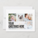Search for designer photo cards Modern