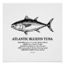 Search for scientific illustration posters Marine biology