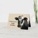 Search for funny cow jokes birthday cards Farm