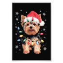 Search for yorky art Festive