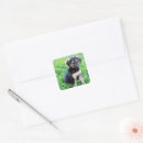 Search for german shepherd puppies stickers Park