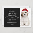 Search for chevron christmas cards Stylish
