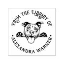 Search for pit bull terrier Animals