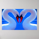 Search for swan love posters Heart