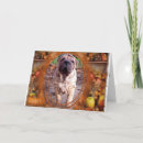 Search for count your blessings cards Fall
