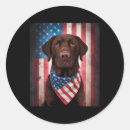 Search for chocolate labrador stickers Funny
