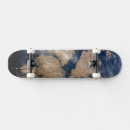 Search for atlantic ocean skateboards Aerial view