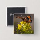 Search for colourful insect badges Bugs