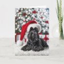 Search for scottish terrier cards Black