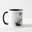 Search for animal nose mugs Grey
