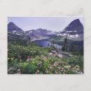 Search for hidden postcards Scenic