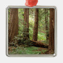 Search for trunk christmas tree decorations North america