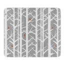 Search for cardinals on birch trees Forest