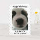 Search for puppy nose cards Funny