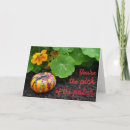 Search for patch cards Garden