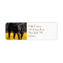 Search for quarter horse return address labels Thoroughbred