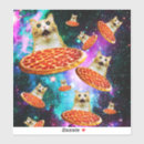 Search for galaxy cat stickers Funny
