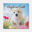Search for angel square magnets Flowers