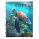 Search for turtle notebooks Marine life