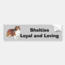 Search for sheltie bumper stickers Sheepdog