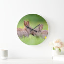 Search for cottontail art Animal
