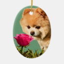 Search for pomeranian christmas tree decorations Flowers