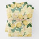 Search for citrus fruit wrapping paper Elegant