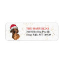 Search for red dachshund return address labels Dog