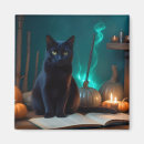 Search for spooky cat magnets Cute