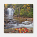 Search for wood magnets Waterfall