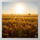 Search for intensity posters Summer