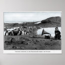 Search for antarctic posters Expedition